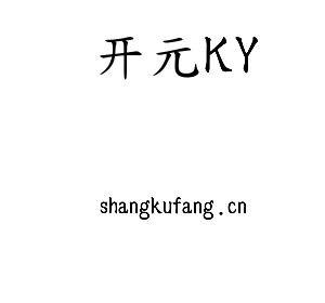 深圳市开元KY电子有限公司官网